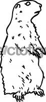 Prairie DogFreehand Image